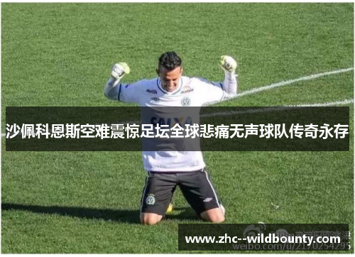 沙佩科恩斯空难震惊足坛全球悲痛无声球队传奇永存